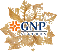 GNP